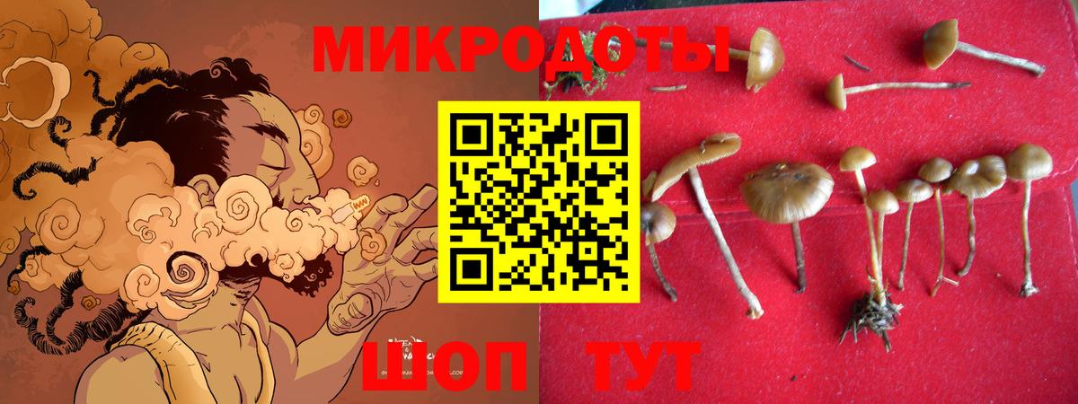 Губкинский  купить закладку  Псилоцибиновые грибы мухоморы  Вход с VPN  Галлюциногенные грибы мицелий 