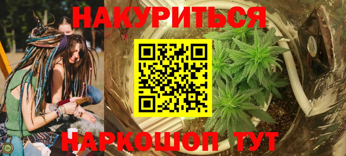 Каннабис индика Губкинский
